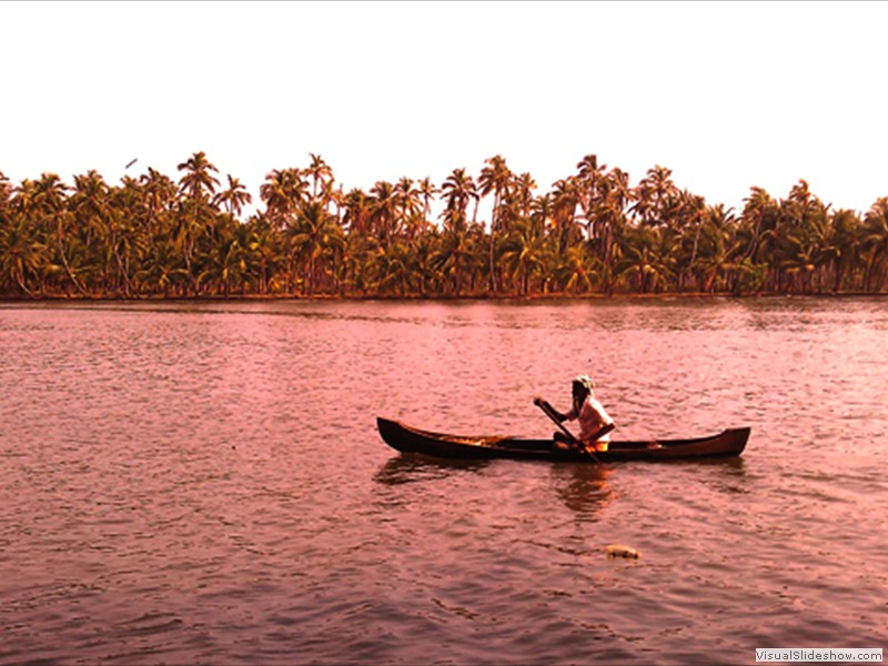 Backwaters Guruvayur