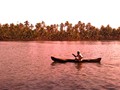 Backwaters Guruvayur